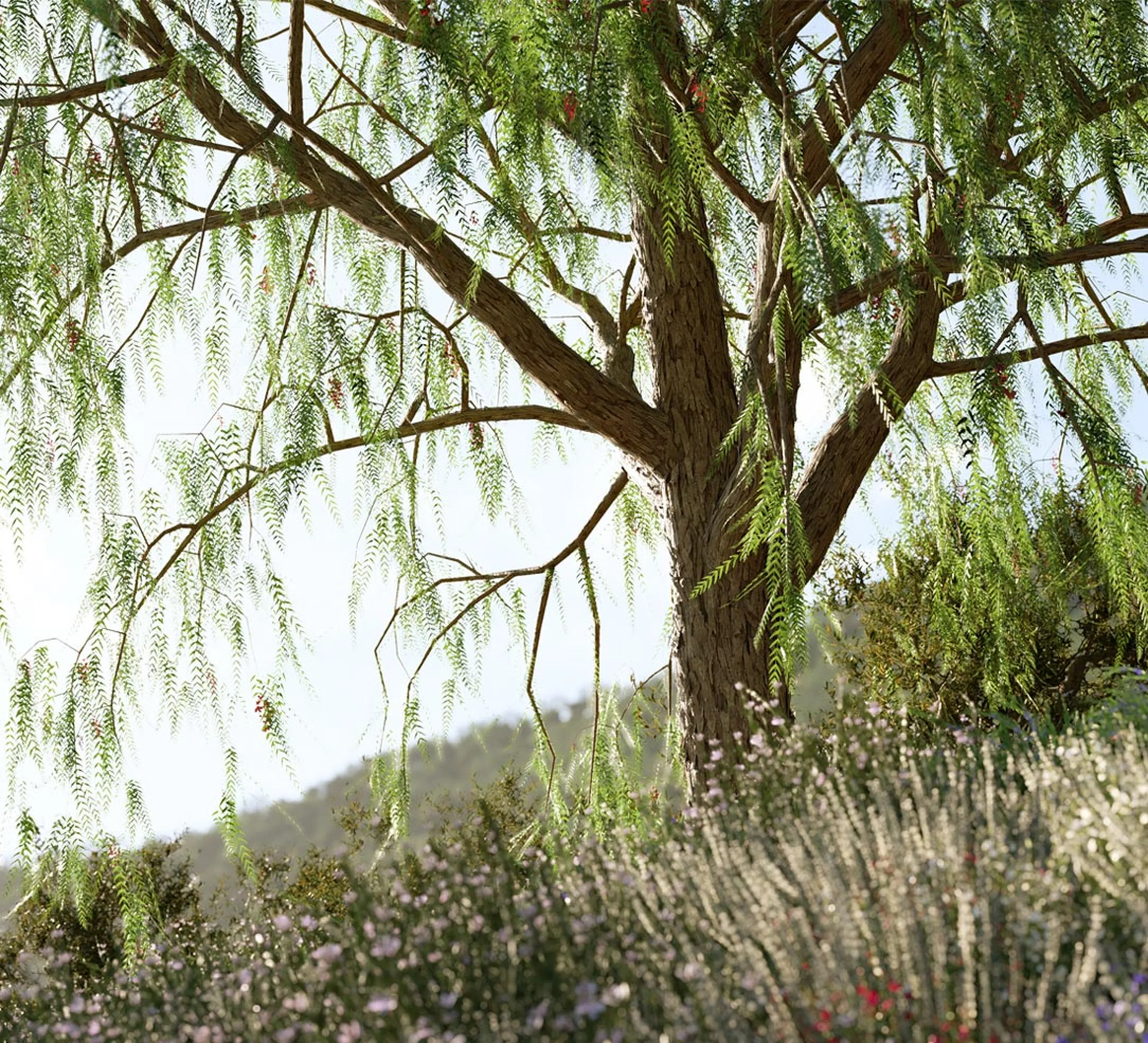 Amberbaum