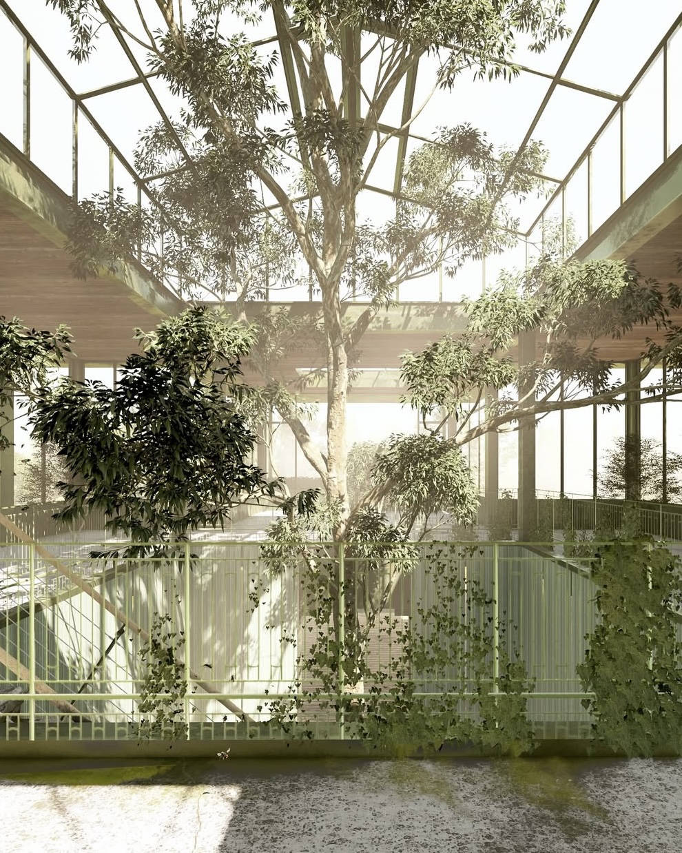 Gewächshaus, gerendert in Lumion 2025.1 © CYCOT